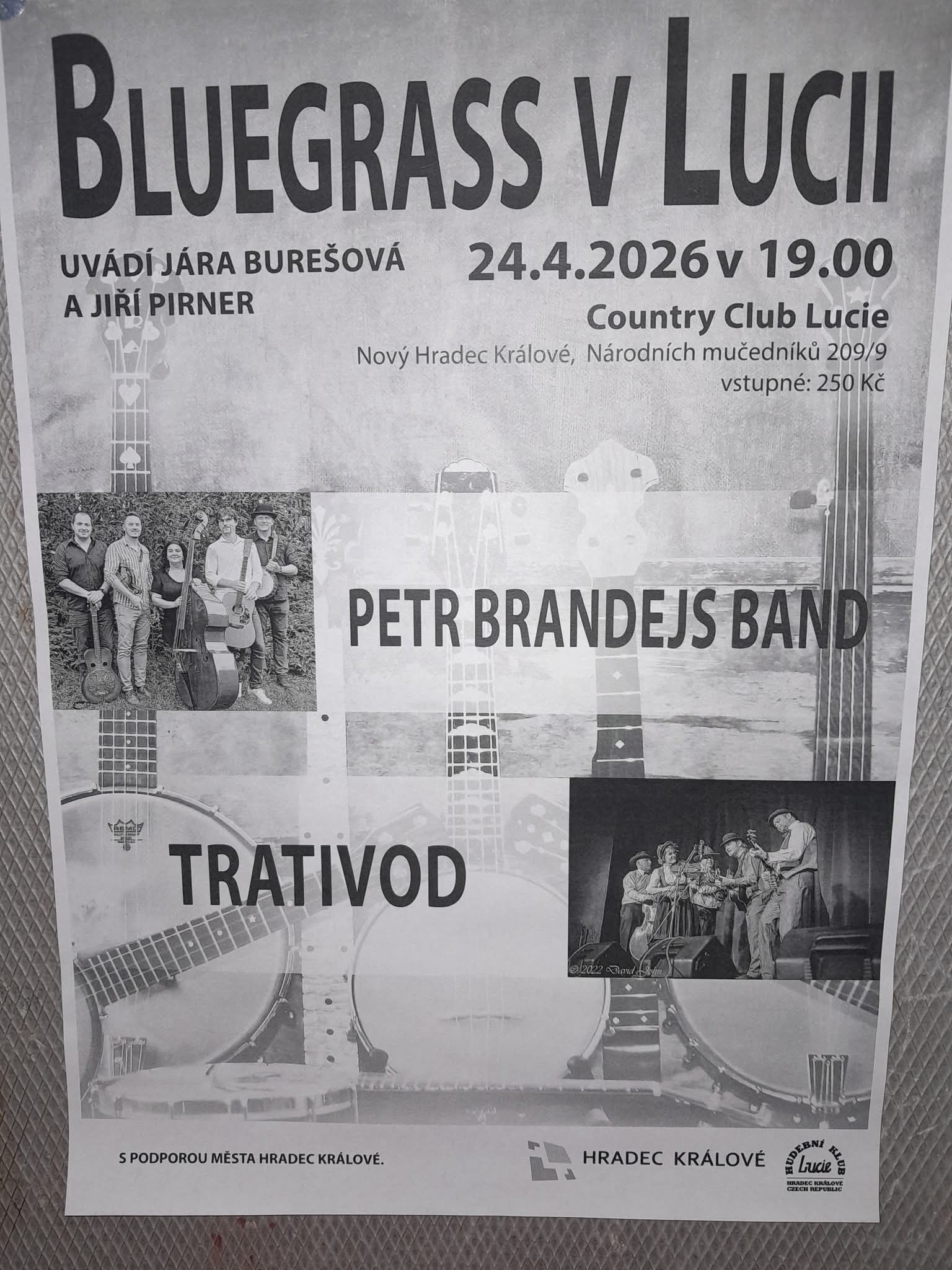 BLUEGRASS V LUCII